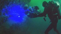 Scientific biofluorescent imaging camera and lighting system developed to obtain 4 K imagery shown underwater in Scripps Canyon, San Diego, CA. Image credit: Kyle McBurnie.