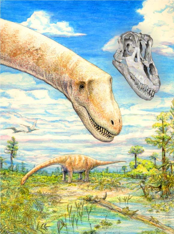 Reconstruction of Sarmientosaurus musacchioi skull. Image credit: Mark A. Klingler, Carnegie Museum of Natural History / WitmerLab, Ohio University.