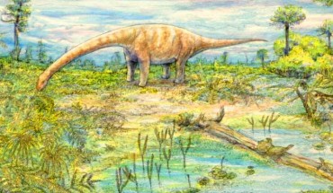 Reconstruction of Sarmientosaurus musacchioi. Image credit: Mark A. Klingler, Carnegie Museum of Natural History / WitmerLab, Ohio University.