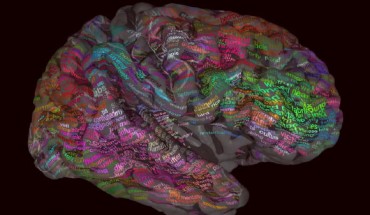 Scientists at the University of California, Berkeley, build a semantic atlas to chart how the brain responds to language. Image credit: University of California, Berkeley.