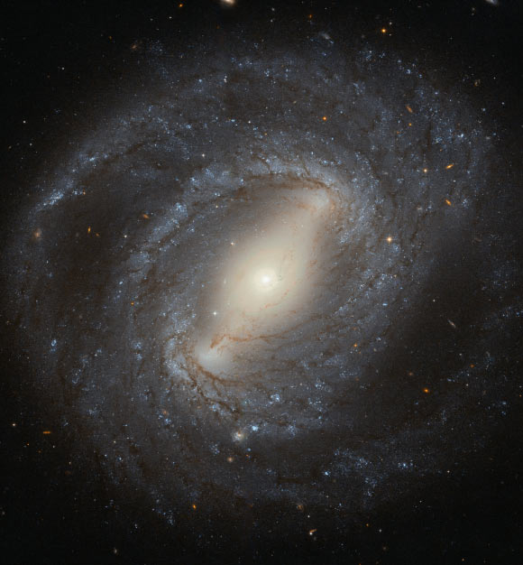 This Hubble image shows NGC 4394, a barred spiral galaxy located 53.8 million light-years away from Earth, in the constellation Coma Berenices. Image credit: NASA / ESA / Hubble / Judy Schmidt, www.geckzilla.com.