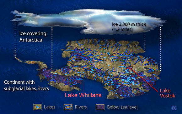 An artist’s conception of the Antarctic subglacial environment. Image credit: Zina Deretsky / NSF.