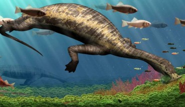 Life restoration of Atopodentatus unicus. Image credit: Institute of Vertebrate Paleontology and Paleoanthropology.