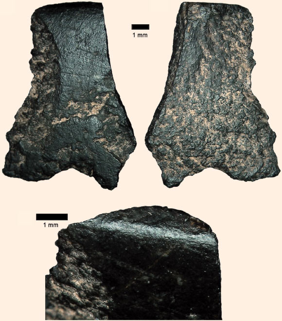 A fragment from the edge of 46,000-49,000-year-old polished stone axe. Image credit: Peter Hiscock et al.
