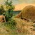 Paleo-Indians hunting a glyptodont, a relative of the armadillo that lived during the Pleistocene epoch. By Heinrich Harder, 1920.