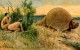 Paleo-Indians hunting a glyptodont, a relative of the armadillo that lived during the Pleistocene epoch. By Heinrich Harder, 1920.