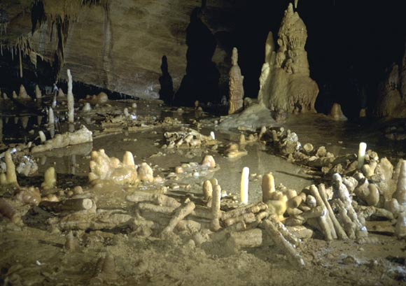 General view of the main Bruniquel Cave structure (structure A below) with superposed layers of aligned Stalagmites. Image credit: E. Fabre, SSAC.