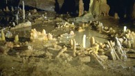 General view of the main Bruniquel Cave structure (structure A below) with superposed layers of aligned Stalagmites. Image credit: E. Fabre, SSAC.