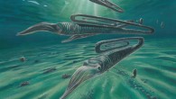 Reconstruction of typical Cretaceous marine environment in Antarctica, including the paperclip-shaped ammonite Diplomoceras. Image credit: James McKay.