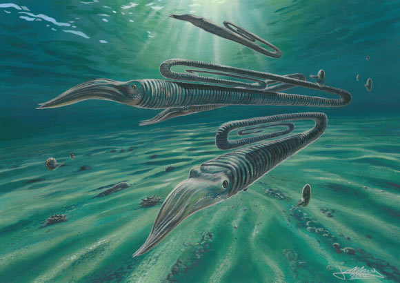 Reconstruction of typical Cretaceous marine environment in Antarctica, including the paperclip-shaped ammonite Diplomoceras. Image credit: James McKay.