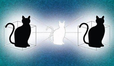 Chen Wang and co-authors have given Schrödinger’s cat a second box to play in. Image credit: Michael S. Helfenbein / Yale University.