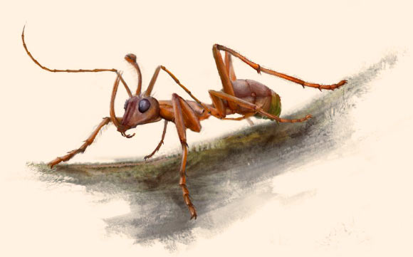 Life-like reconstruction of Ceratomyrmex ellenbergeri. Image credit: Dinghua Yang.