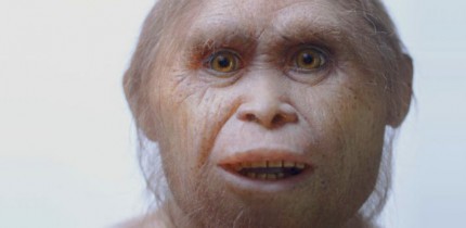Reconstruction of Homo floresiensis. Image credit: Kinez Riza / Atelier Elisabeth Daynes, Sangiran Museum.