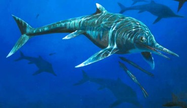 Reconstruction of Wahlisaurus massarae. Image credit: James McKay.