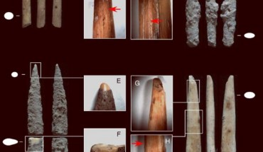 Four of the projectile point fragments recovered from Kuumbi Cave: (A, C and G) impact fractures; (B and D) possible retrieval cut marks; (E) rounded tip; (F) post-depositional fracture revealing bone surface; (H) change in surface appearance. Magnification: A, C, G, and H at 65x; B at 85x; D at 100x; E at 200x. Image credit: Michelle C. Langley et al.