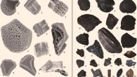 Left: phytoliths from Poaceae bulliform cells and bi-peaked tubercles from rice husks recovered from Huxi: 1, 2, 3 - rice; 4 - reed; 5 - bamboo; 6, 7, 8 - silvergrass; 9, 10 - bi-peaked tubercles of rice. Right: charred plant remains from Huxi: 1 - self-heal; 2 - cupgrass; 3, 17 - sedge family; 4-6 - carbonized rice; 7-13 - rice rachillae; 14-15 - rice husks fragments; 16 - knotweed/smartweed; 18 - bristlegrass; 19 – crabgrass; 20 - tall fringe-rush; 21, 22 – foxnut. Image credit: Y. Zheng et al.