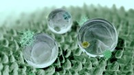 Surface of a lotus leaf. Image credit: William Thielicke / CC BY-SA 4.0.