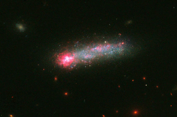 Kiso 5639 is a member of a class of galaxies called ‘tadpoles’ because of their bright heads and elongated tails. New Hubble/WFC3 observations comprising this image cover a wide portion of the spectrum, including ultraviolet, optical, H-alpha, and infrared emission. Together, they paint a beautifully detailed picture of Kiso 5639. Image credit: NASA / ESA / D. Elmegreen, Vassar College / B. Elmegreen, IBM’s Thomas J. Watson Research Center / J. Almeida, C. Munoz-Tunon, & M. Filho, Instituto de Astrofisica de Canarias / J. Mendez-Abreu, University of St. Andrews / J. Gallagher, University of Wisconsin-Madison / M. Rafelski, NASA Goddard Space Flight Center / D. Ceverino, Center for Astronomy at Heidelberg University.