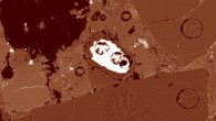 A false-color image of the narrow opal rim surrounding a bright metallic mineral inclusion in the Antarctic meteorite EET 83309; the circular holes in this image are spots where laser analyses have been performed. Image credit: Hilary Downes et al.
