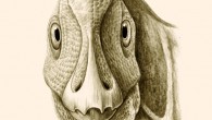 Artistic reconstruction of the pathological individual of the hadrosauroid dinosaur Telmatosaurus transsylvanicus from the uppermost Cretaceous of the Hateg Basin, Romania, in rostral view, showing the probable life appearance of the mandibular deformity caused by ameloblastoma. Image credit: Mihai D. Dumbrava.