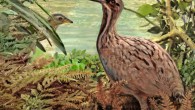 Calciavis grandei stands by the shores of the Eocene fossil lake in Wyoming, roughly 50 million years ago, with a small rallid bird in the background. Image credit: Velizar Simeonovski.