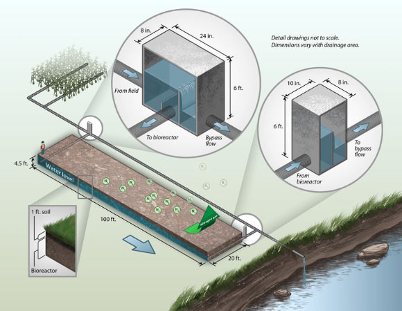 A denitrifying woodchip bioreactor removing nitrate from a tile-drained corn field. Image credit: Christianson and Helmers / Iowa State Extension.