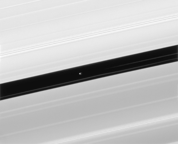 This image from NASA’s Cassini robotic spacecraft shows Saturn’s A ring and its small moon Pan. Image credit: NASA / JPL / Space Science Institute.