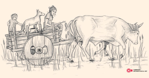 Reconstruction of the animal drawn cart that the wheels found at Must Farm would have belonged to. Image credit: Cambridge Archaeological Unit.