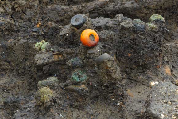 Amber bead and others found in situ. Image credit: Dave Webb / Cambridge Archaeological Unit.