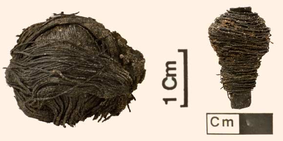 Plant fiber. Image credit: Dave Webb / Cambridge Archaeological Unit.