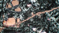 Deposits of serpentinized rock such as this could be a previously overlooked source of free hydrogen gas. Image credit: NOAA Ocean Explorer.