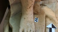 A fragment of a limestone statute of a top Egyptian official from the Middle Kingdom. Image credit: Shlomit Bechar.