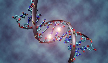 DNA molecule. Image credit: Christoph Bock, Max Planck Institute for Informatics / CC BY-SA 3.0.