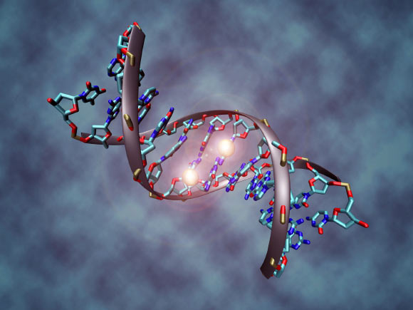 DNA molecule. Image credit: Christoph Bock, Max Planck Institute for Informatics / CC BY-SA 3.0.
