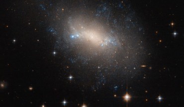 This image, taken with the Advanced Camera for Surveys on board the NASA/ESA Hubble Space Telescope, shows the irregular galaxy NGC 2337. Image credit: NASA / ESA / Hubble.