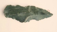 250,000-year-old stone tool that tested positive for rhino protein residue. Image credit: April Nowell.