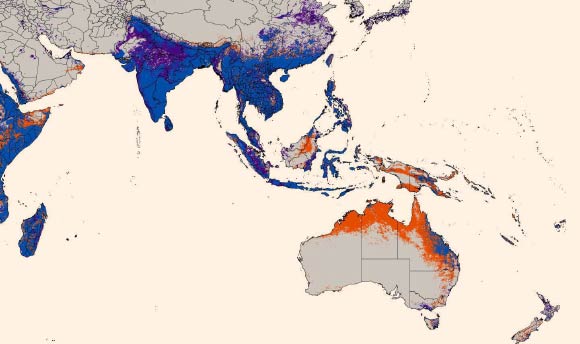 Close-up of Asia and Australia. Image credit: Abdallah M. Samy et al.
