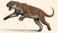 Reconstruction of the marsupial lion (Thylacoleo carnifex). Image credit: Mauricio Antón.