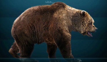 Reconstruction of the cave bear (Ursus spelaeus). Image credit: Sergio de la Larosa / CC BY-SA 3.0.