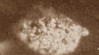 A false-color photomicrograph of the first isolated bulk (1.7 micrograms) sample of berkelium. Image credit: Oak Ridge National Laboratory.
