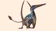 An artist’s representation of the Jurassic pterosaur Allkauren koi. Image credit: Gabriel Lío.