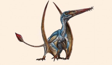 An artist’s representation of the Jurassic pterosaur Allkauren koi. Image credit: Gabriel Lío.