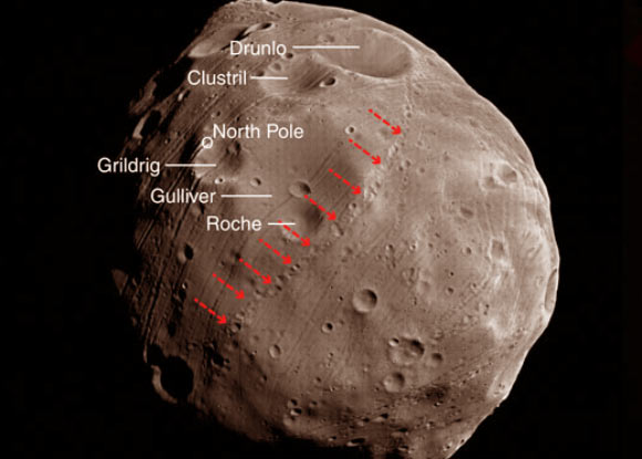 In this image of Phobos, red arrows indicate a chain of small craters whose origin researchers were able to trace back to a primary impact at a large crater known as Grildrig. Image credit: M. Nayak & E. Asphaug / ESA / Mars Express.