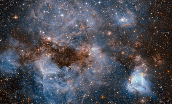 This truly gorgeous new Hubble image shows N159, a star-forming region within the Large Magellanic Cloud. Image credit: NASA / ESA / Hubble.