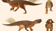 Model of Psittacosaurus sp. based on skin and pigmentation patterns on the specimen from the Senckenberg Museum, Germany. Image credit: Jakob Vinther et al.