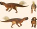 Model of Psittacosaurus sp. based on skin and pigmentation patterns on the specimen from the Senckenberg Museum, Germany. Image credit: Jakob Vinther et al.