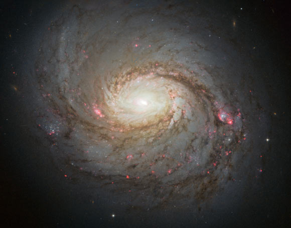 This Hubble image shows the barred spiral galaxy Messier 77; the streaks of red and blue in the image highlight pockets of star formation along the pinwheeling arms, with dark dust lanes stretching across the galaxy’s starry center; the galaxy belongs to a class of galaxies known as Seyfert galaxies, which have highly ionized gas surrounding an intensely active center. Image credit: NASA / ESA / A. van der Hoeven. 