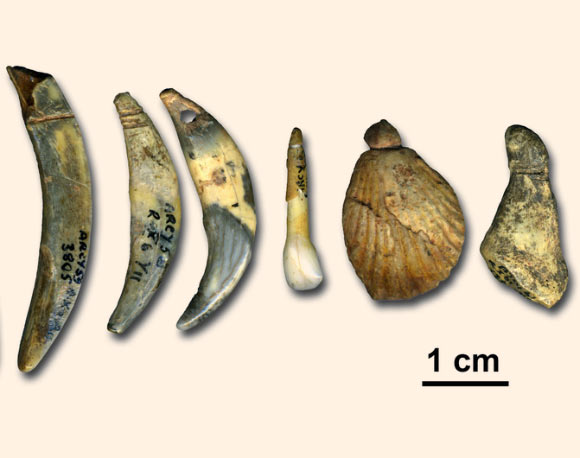 Châtelperronian artifacts from the Grotte du Renne. Image credit: Marian Vanheren.