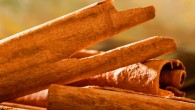 Cinnamon. Image credit: Bertrand Thiry / CC BY-SA 3.0.