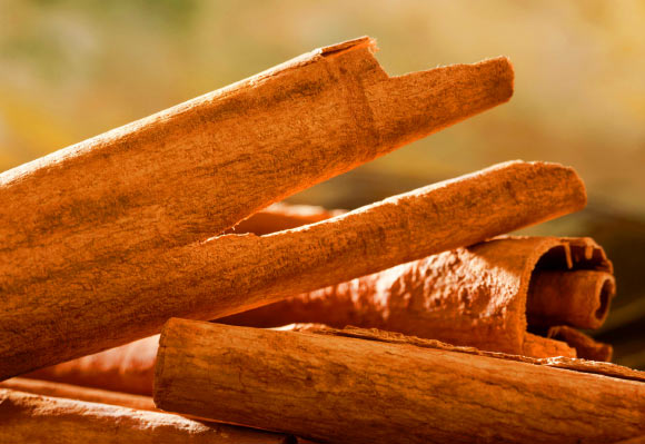 Cinnamon. Image credit: Bertrand Thiry / CC BY-SA 3.0.